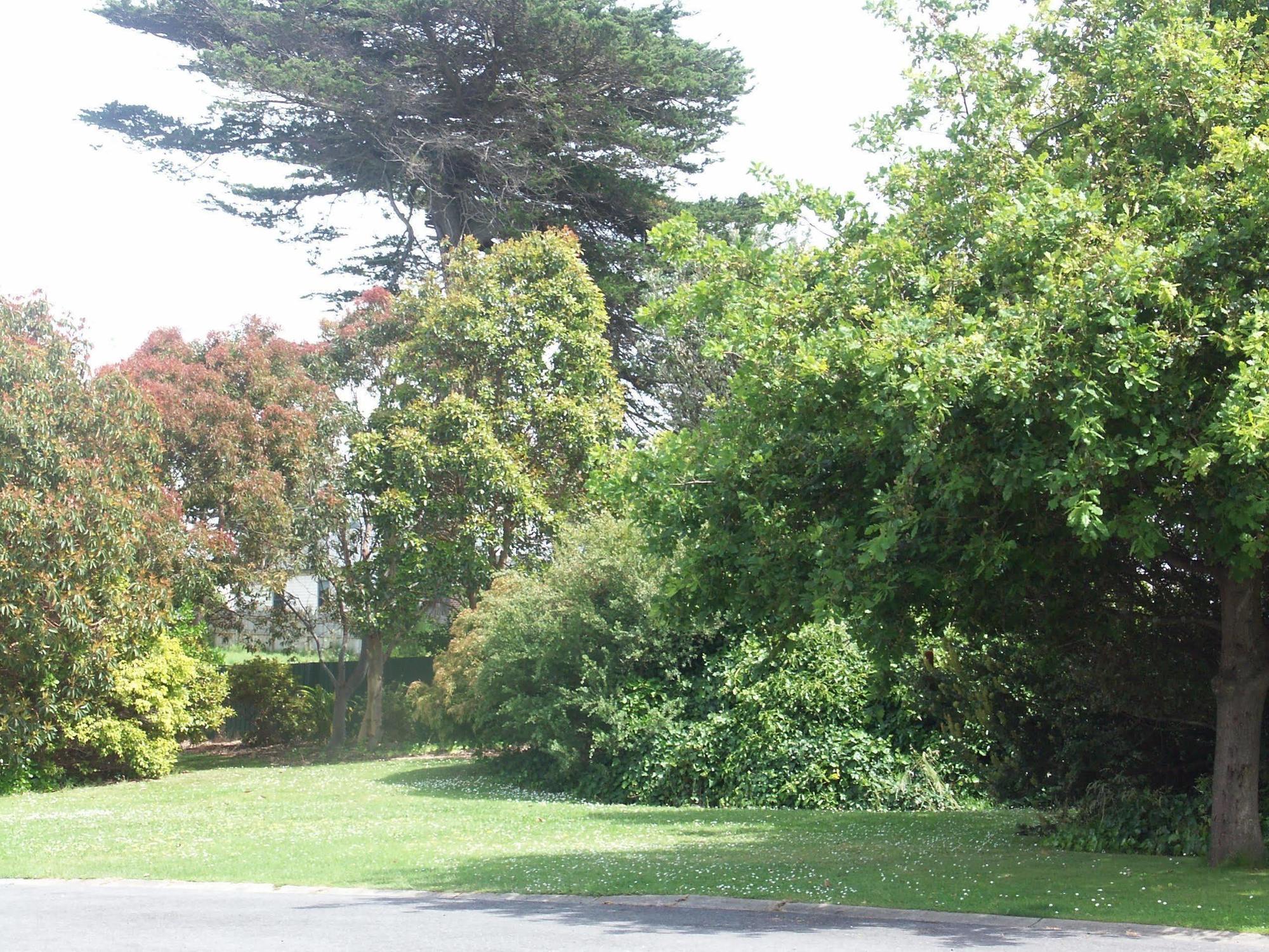 Melaleuca Motel Portland Exterior foto